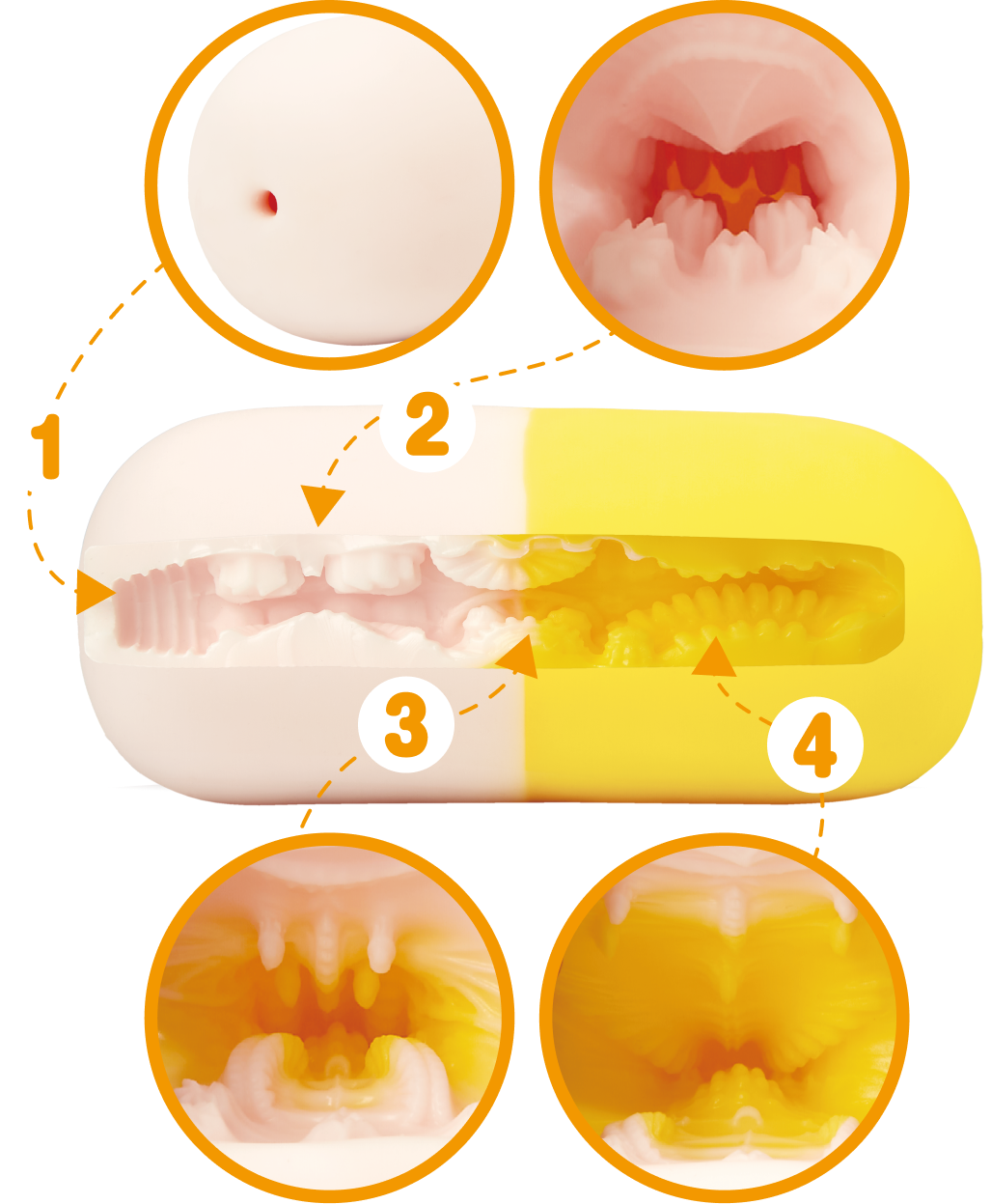 Diagramm des Doctor's Deep Dive Tunnels — 4 Zonen, 13 cm