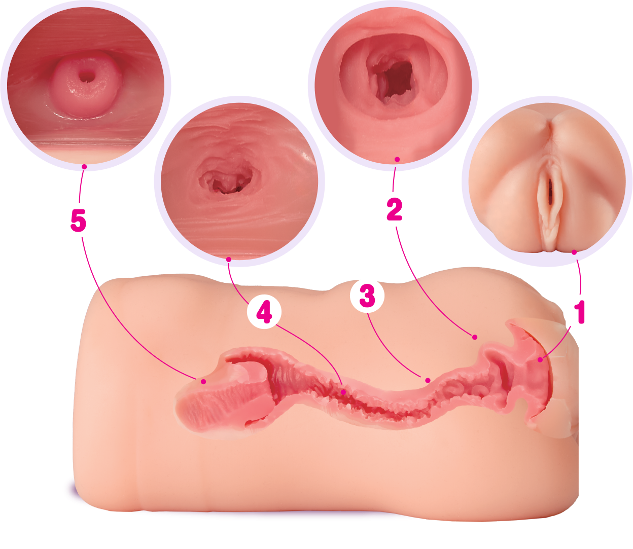 Puffed Panty Peek Tunnel des Puffed Pussy Onahole